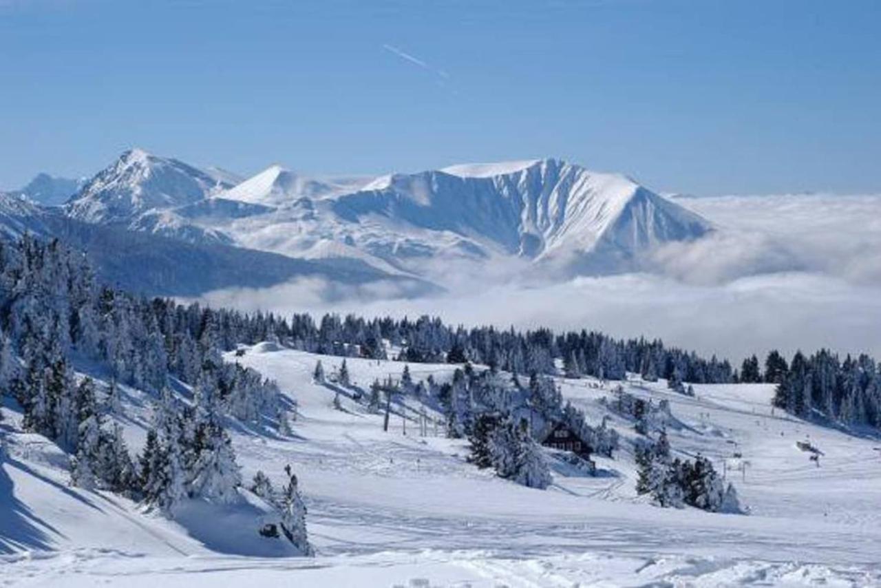 Charmant Studio Cabine Cocoon A 100 M Des Pistes شاروس المظهر الخارجي الصورة