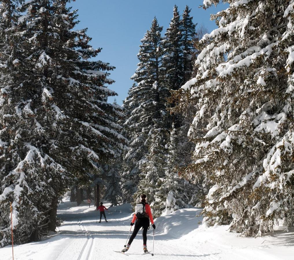 Charmant Studio Cabine Cocoon A 100 M Des Pistes شاروس المظهر الخارجي الصورة